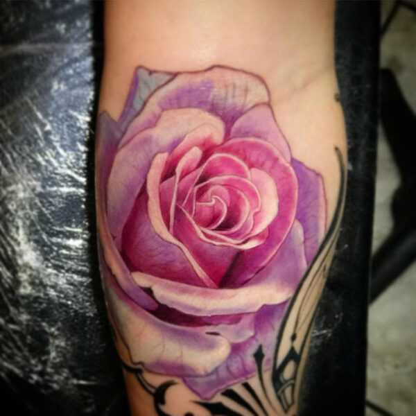 Rose tattoo