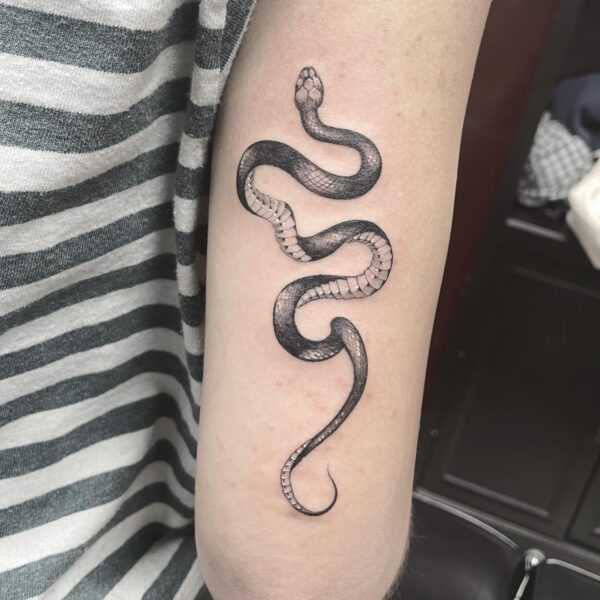 Typical snake tattoo location on arm