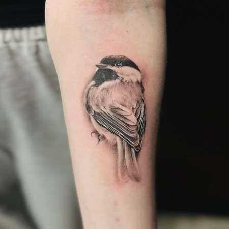 Bird tattoos stunning design ideas for aesthetic ink | billy.holistic